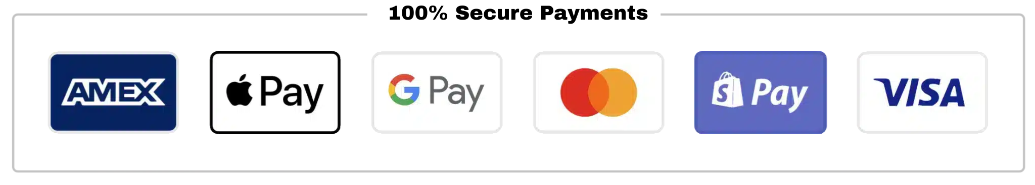 100% Secure Payments